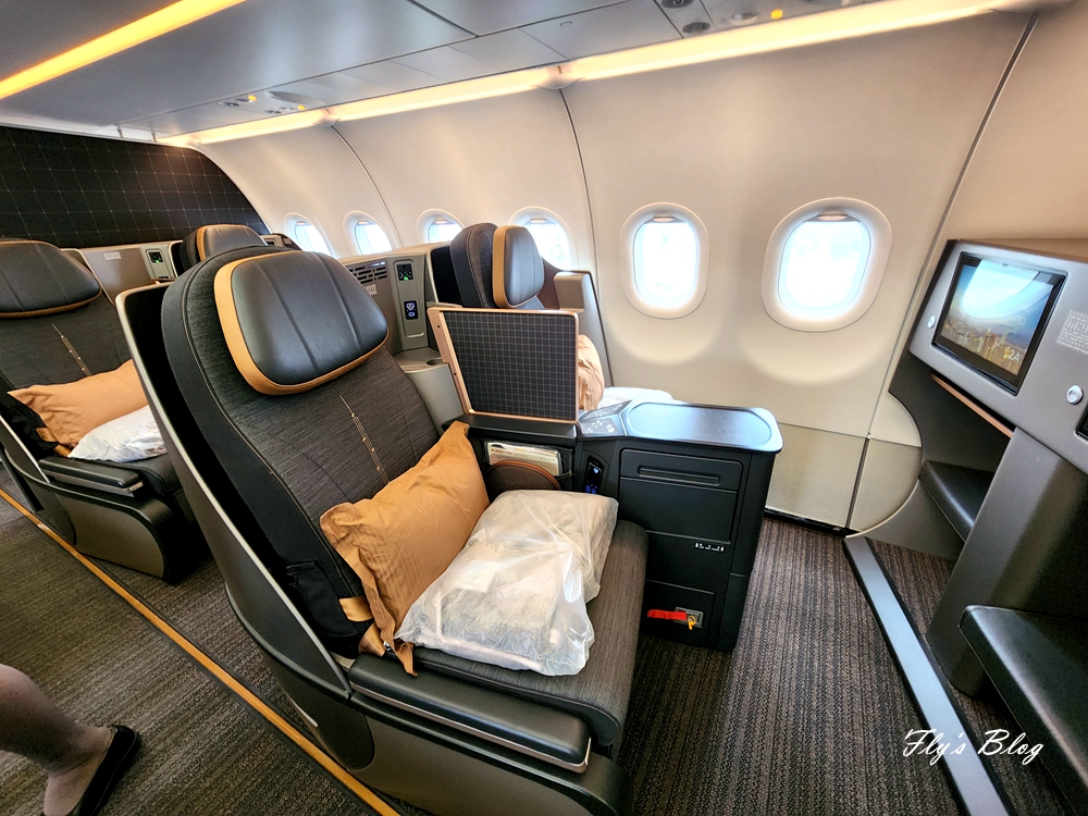 星宇航空A321neo商務艙開箱、飛機餐餐點／經濟艙飛機餐餐點（台北－熊本，星宇熊本飛機餐） @我眼睛所看見的世界（Fly&#039;s Blog）