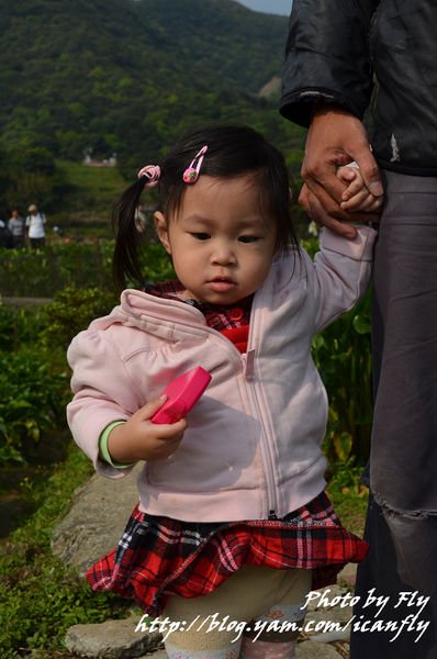 竹子湖人比花多之兒童節快樂！ @我眼睛所看見的世界（Fly&#039;s Blog）