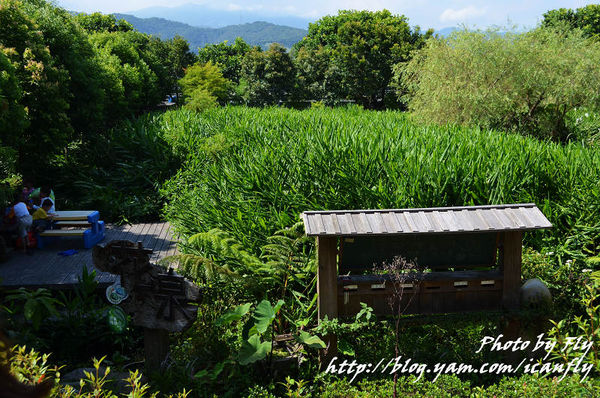 宜蘭花泉休閒農場，野薑花粽超美味！ @我眼睛所看見的世界（Fly&#039;s Blog）
