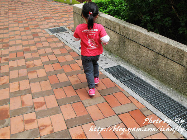 IFME健康機能童鞋，穿對鞋真的很重要 @我眼睛所看見的世界（Fly&#039;s Blog）