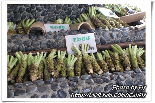 日本北陸 DAY 3：Daio Wasabi Farm 之超好吃蕎麥涼麵 @我眼睛所看見的世界（Fly&#039;s Blog）