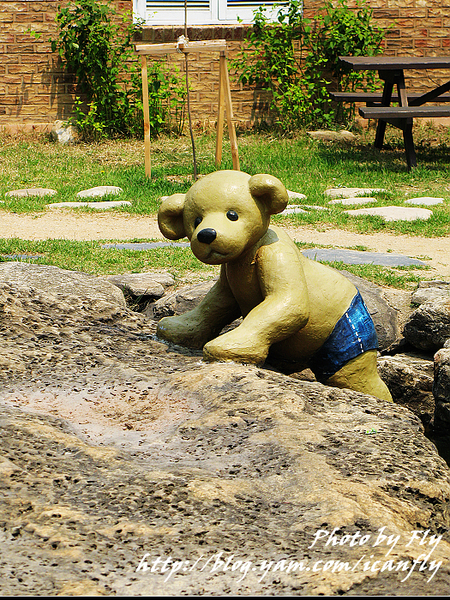 【韓遊】Teddy Bear Farm 泰迪熊珍藏館（Day 3） @我眼睛所看見的世界（Fly&#039;s Blog）