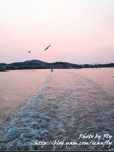 【韓遊】濟扶浦海鷗船（Day 1） @我眼睛所看見的世界（Fly&#039;s Blog）