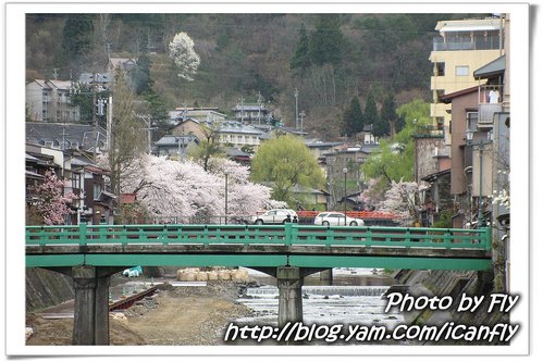 日本北陸 DAY 3：飛驒高山 Part 2 之櫻花很美麗 @我眼睛所看見的世界（Fly&#039;s Blog）